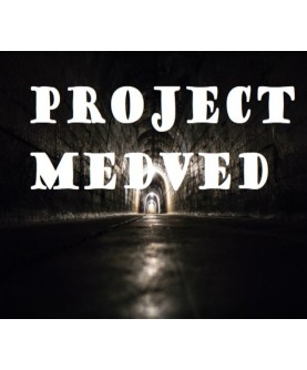 Project Medved Steam Key GLOBAL